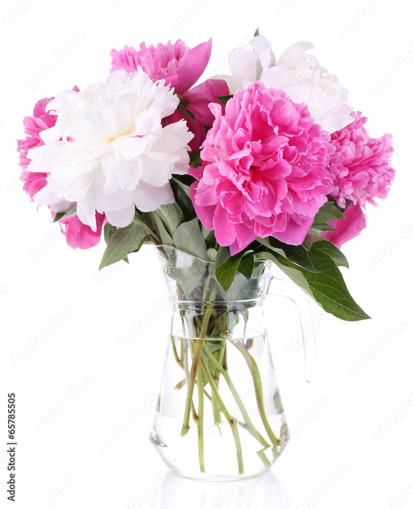 Obraz premium Beautiful pink and white peonies in vase, isolated on white