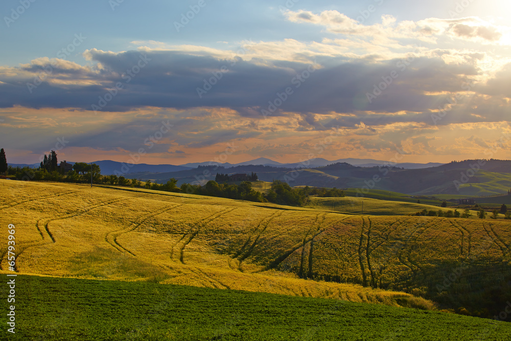 Countryside, San Quirico d`Orcia , Tuscany, Italy Countryside, San Quirico d`Orcia , Tuscany, Italy