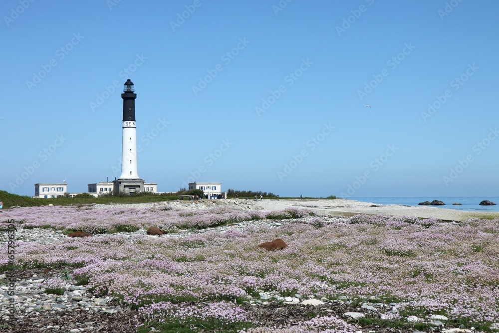 Obraz premium l'île de sein,bretagne,phare de goulenez