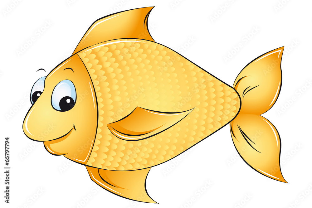 Fototapeta premium Goldfisch