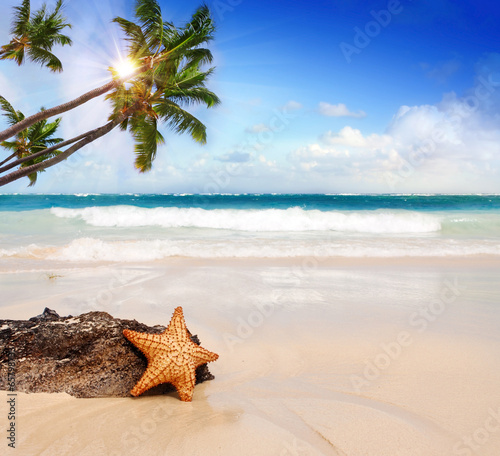 Starfish with ocean , beach and seascape. 