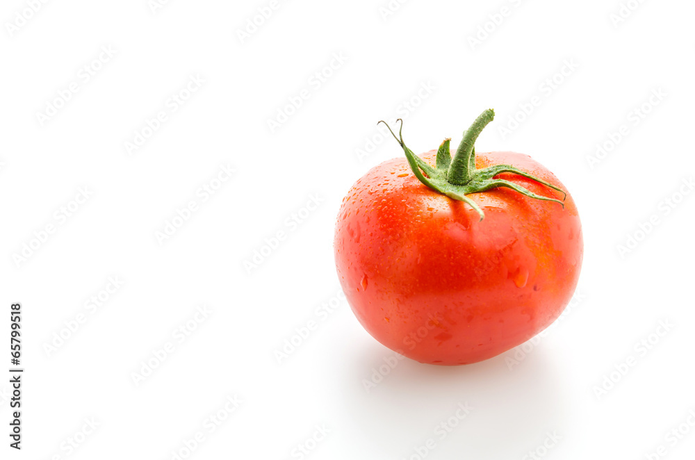 Tomato isolated on white Tomato isolated on white