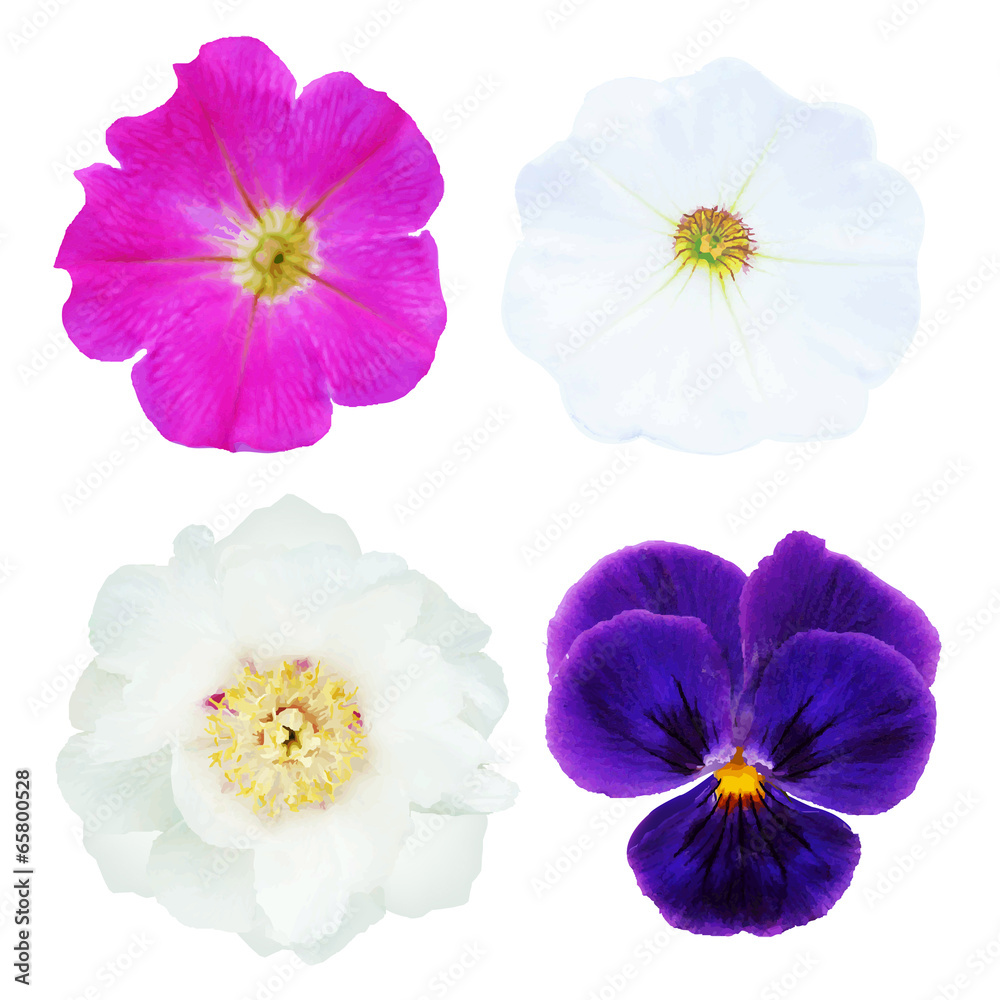 Flower Set Flower Set