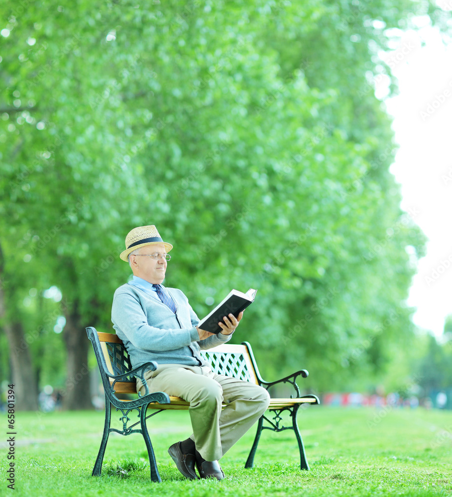 Fototapeta premium Senior gentleman reading a book in park