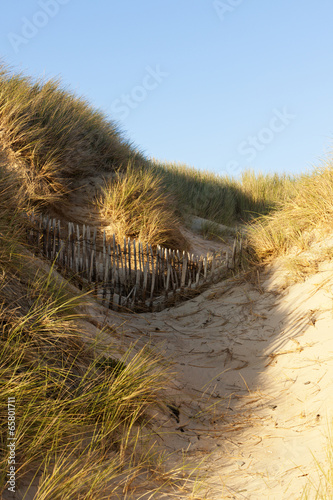 Sand Fence on Normandy Dune
