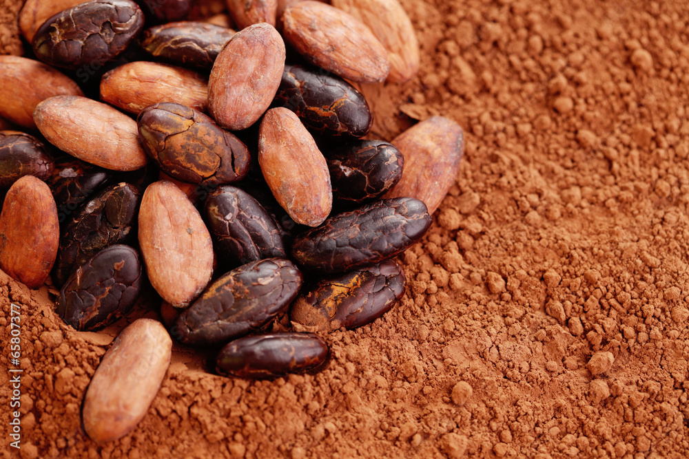 Obraz premium cocoa beans