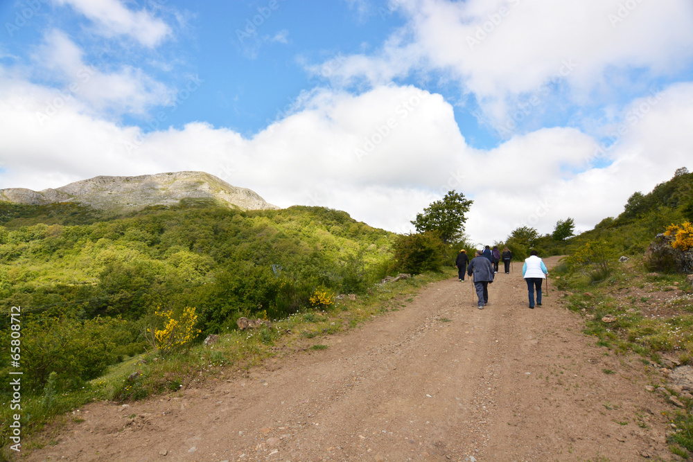 grupo de personas caminando por un camino de montaña