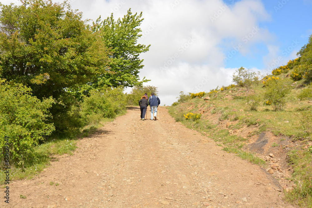 pareja caminando por un camino en el monte