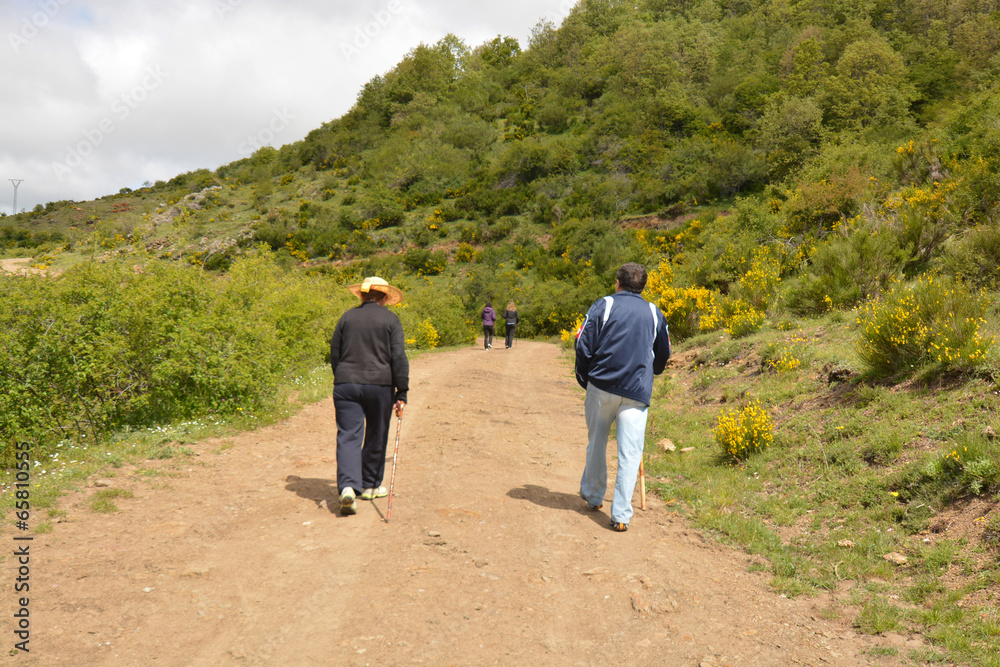 pareja caminando por un camino en el monte