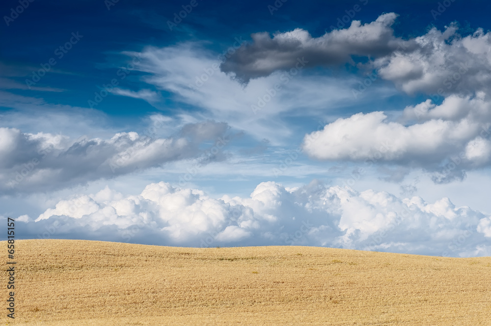 Tuscan landscape, Italy. Tuscan landscape, Italy.
