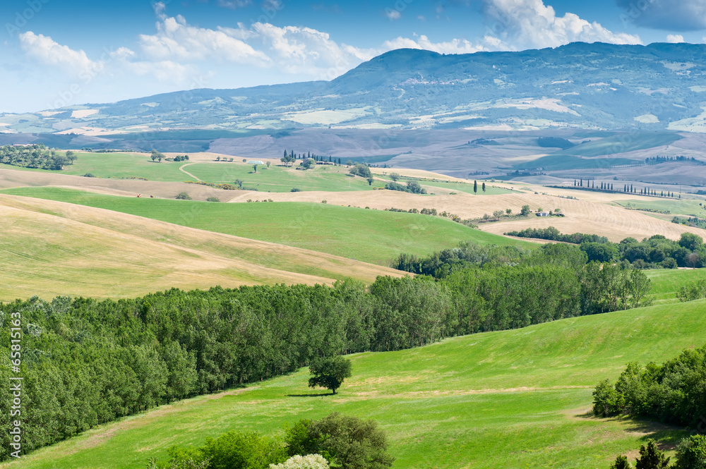 Tuscan hills landscape