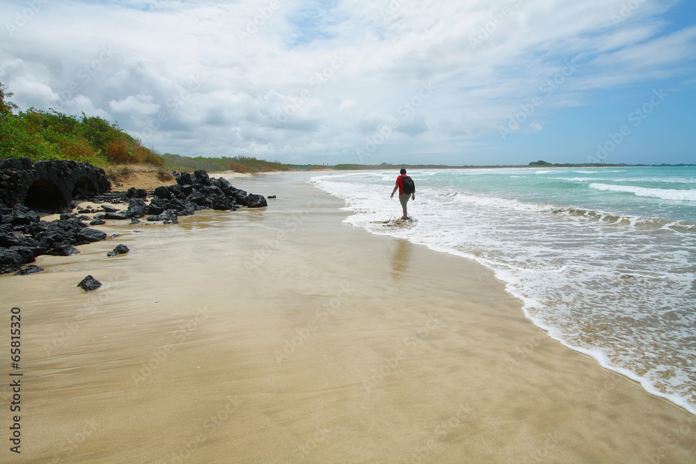Beautiful white sand beach in the Galapagos Islands, Ecuador Beautiful white sand beach in the Galapagos Islands, Ecuador