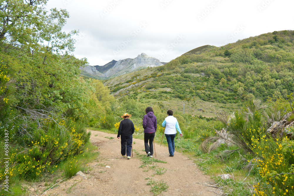grupo de mujeres caminando por un camino  de montaña