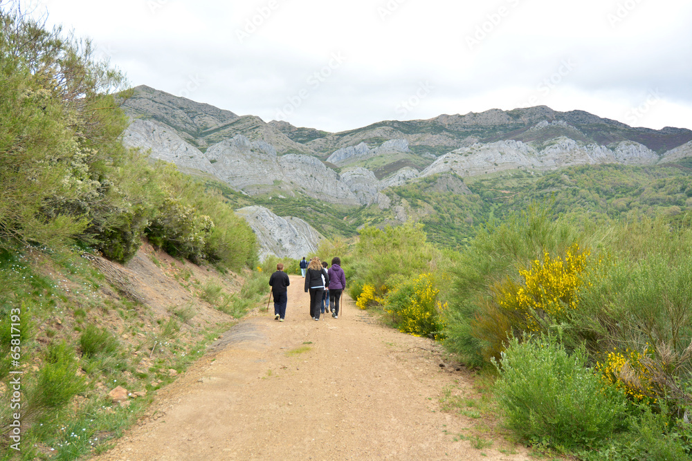 grupo de personas caminando por un camino de montaña