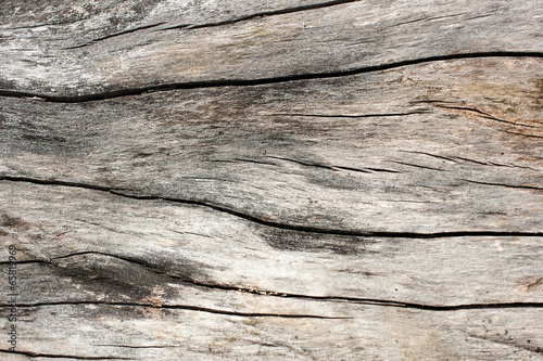 Dirty wooden background. Vintage textured wooden background