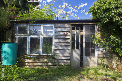 Idyllic garden shed