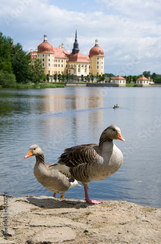 Schloss Moritzburg, Sachsen, Deutschland