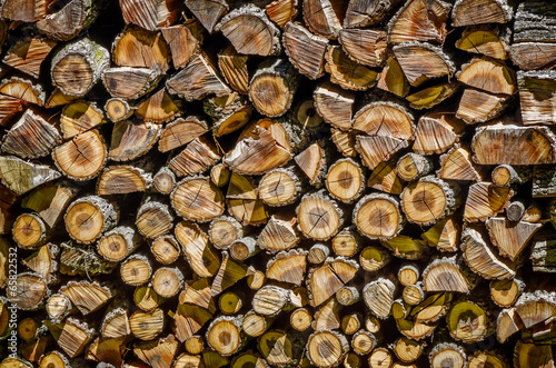 Large Pile of Cut Logs