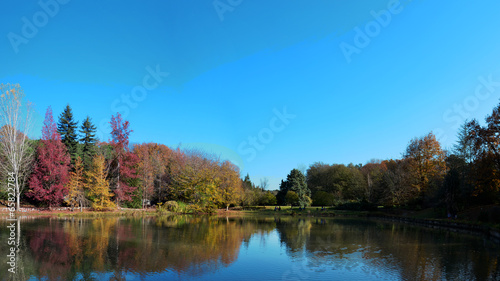 Autumn Colors