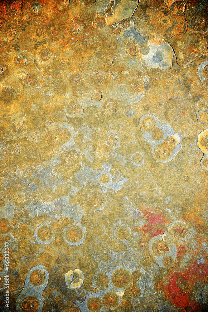 custom made wallpaper toronto digitalTable slate