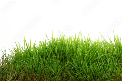 Gras Landschaft
