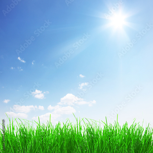 Frühjahr Landschaft