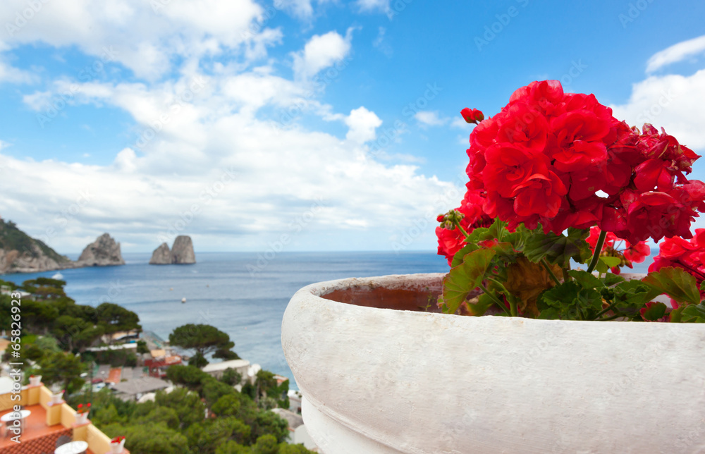 Red geraniums with Faraglioni in background, Capri island.