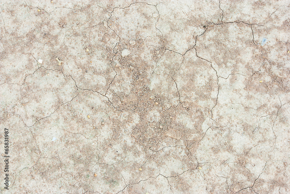 Close up on ground Close up on ground