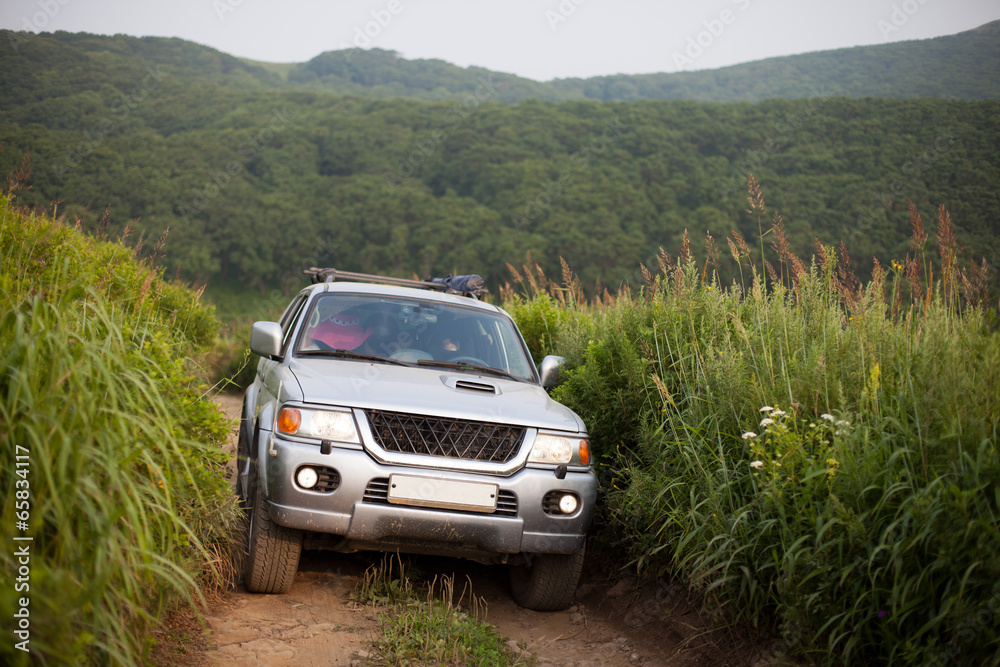 Fototapeta premium SUV