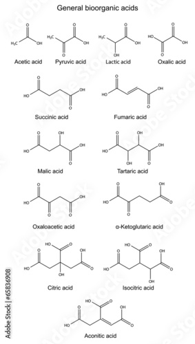 Structural chemical formulas of basic bioorganic acids