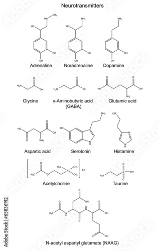 Structural chemical formulas of basic neurotransmitters