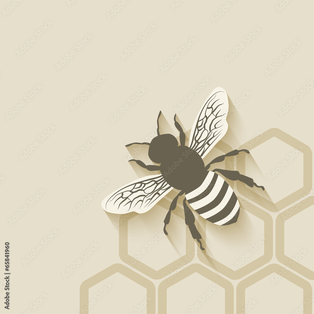 bee honeycomb background - obrazy, fototapety, plakaty 