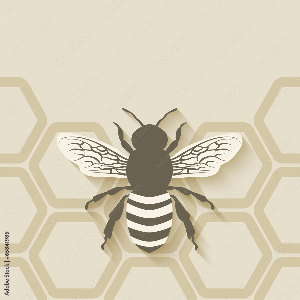bee honeycomb background - obrazy, fototapety, plakaty 
