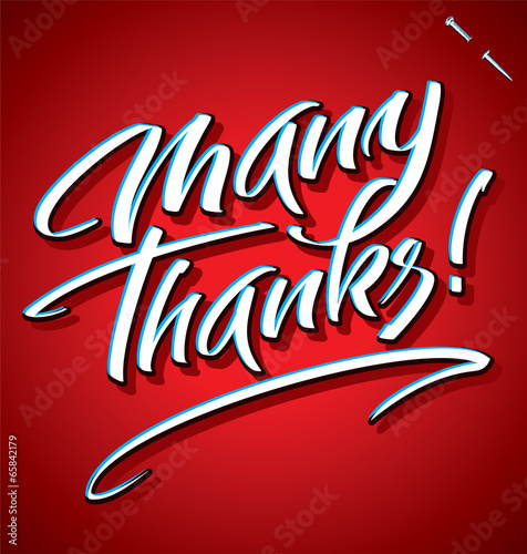 MANY THANKS hand lettering (vector)