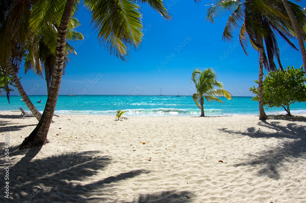 Obraz premium beach