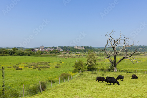 Fototapeta Naklejka Na Ścianę i Meble -  Rural landscape around Arundel, Sussex
