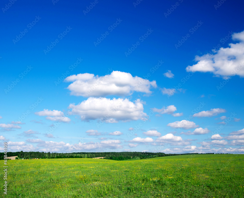 green field green field