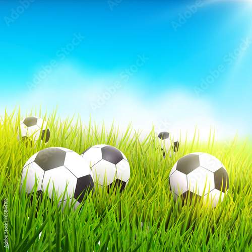 Soccer balls in the grass
