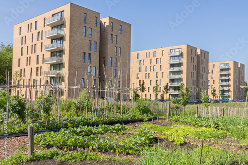 Fotografi Urban agriculture