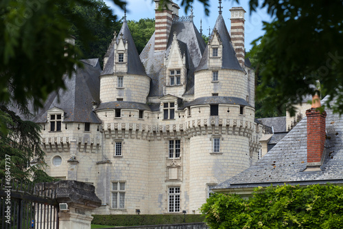 Castel of Rigny-Usse . Loire Valley, France photo