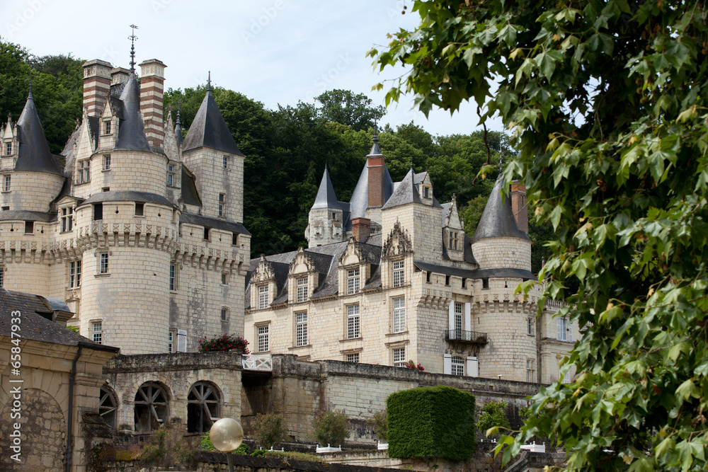 Castel of Rigny-Usse  . Loire Valley, France