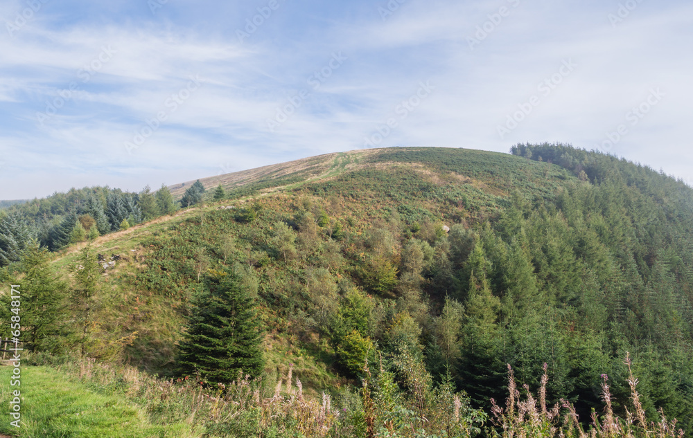 Landscape of Cwmcarn Forest, Wales