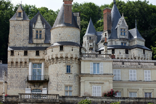 Castel of Rigny-Usse . Loire Valley, France photo