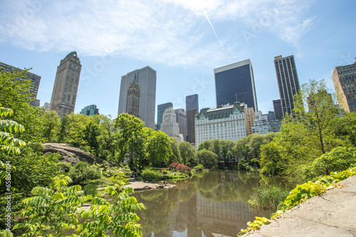 New York City Central Park pond and buildings