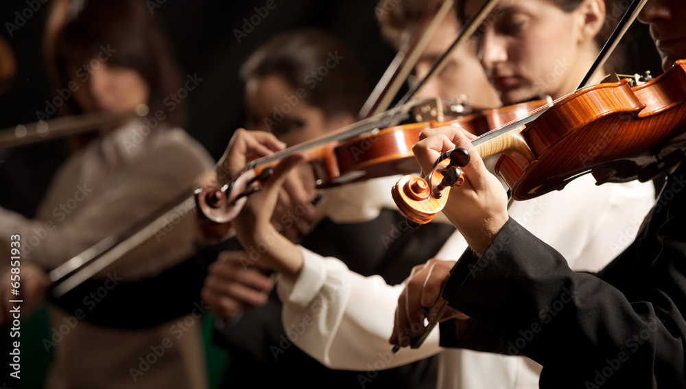 Symphony orchestra violinists performing Symphony orchestra violinists performing