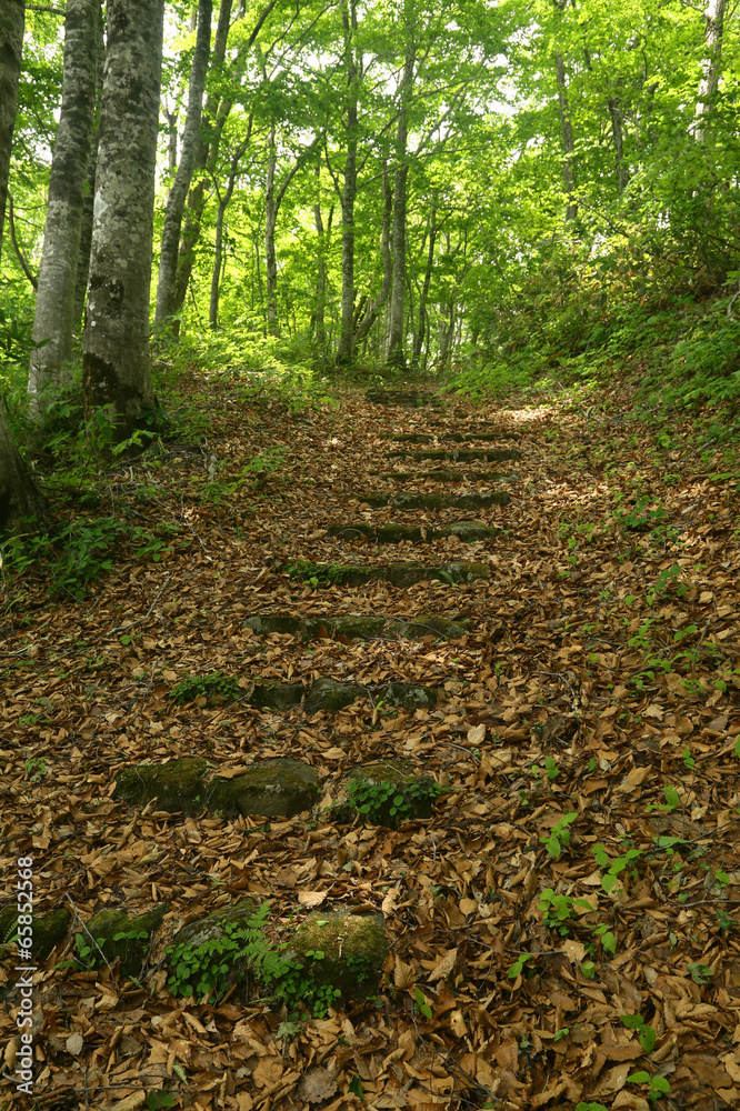 山刀伐峠 山刀伐峠