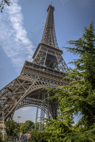 Eiffel Tower view through some trees in a summer clear day