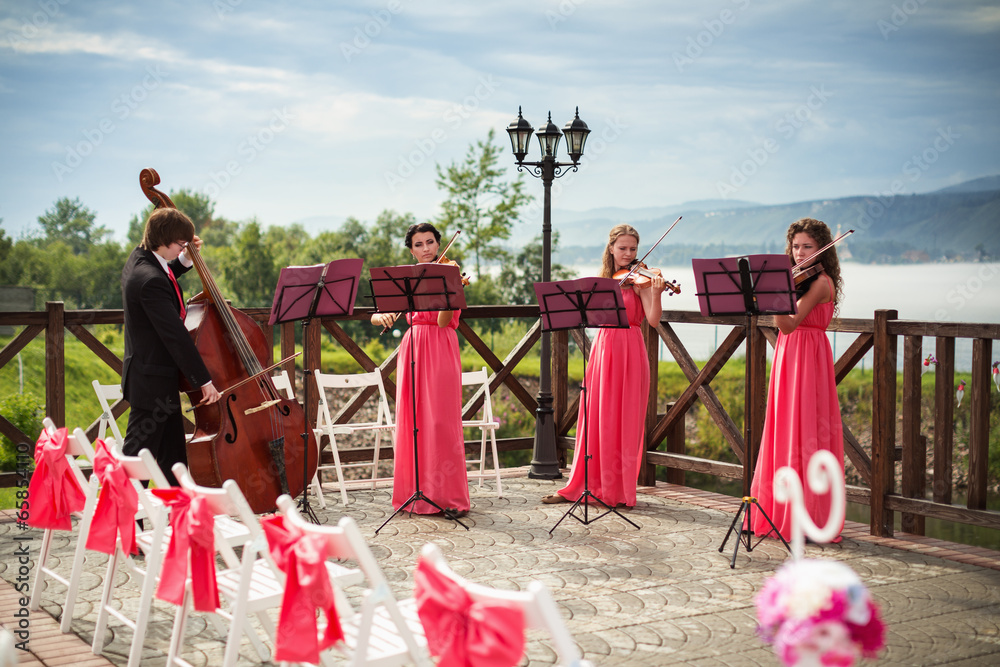 Quartet of classical musicians playing at a wedding