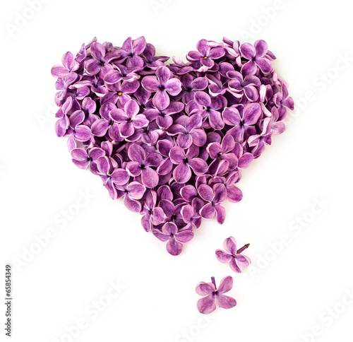 lilac flowers in shape of heart
