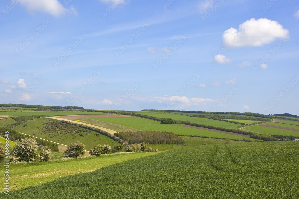 patchwork summer landscape patchwork summer landscape